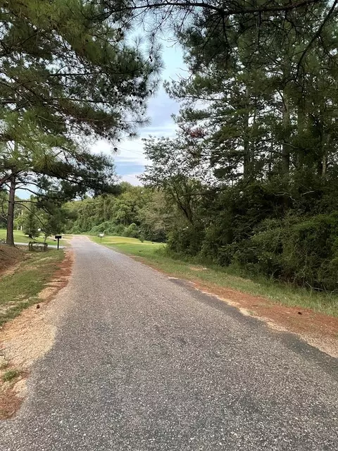 Nnn Mount Olive Road, Tylertown, MS 39667