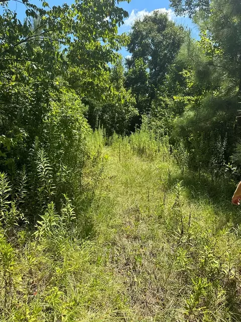 397 Cran, Roxie, MS 39661 photo 8