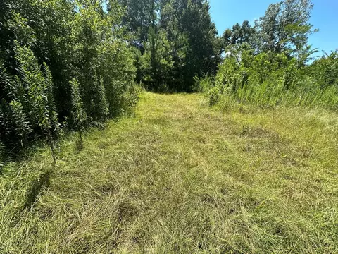 397 Cran, Roxie, MS 39661 photo 7