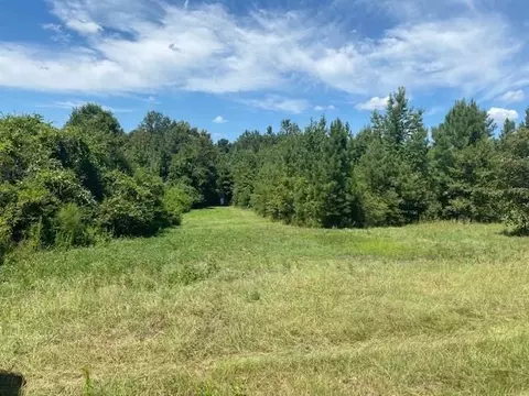 266 Edgar Holmes Rd, Tylertown, MS 39667