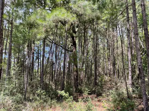 210 E Smith Ferry Rd, Silver Creek, MS 39663 photo 21
