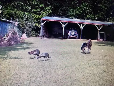 210 E Smith Ferry Rd, Silver Creek, MS 39663 photo 28