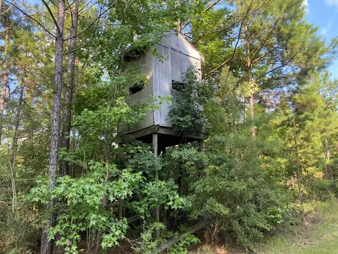 210 E Smith Ferry Rd, Silver Creek, MS 39663 photo 19