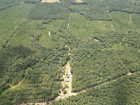 210 E Smith Ferry Rd, Silver Creek, MS 39663 photo 6