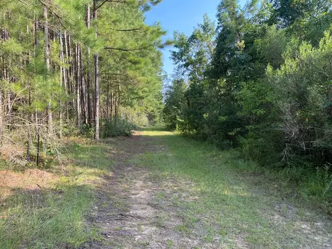 210 E Smith Ferry Rd, Silver Creek, MS 39663 photo 12