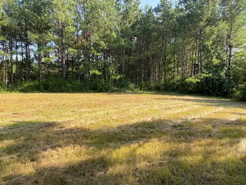 210 E Smith Ferry Rd, Silver Creek, MS 39663 photo 11