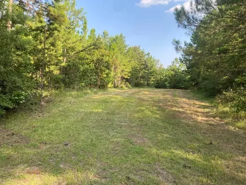210 E Smith Ferry Rd, Silver Creek, MS 39663 photo 9