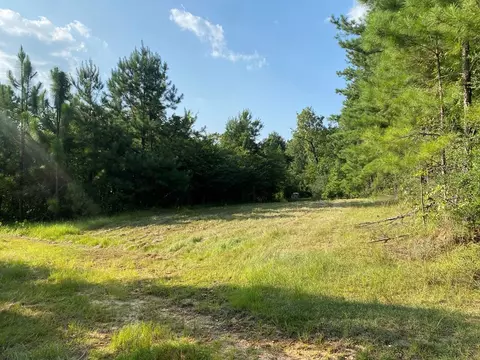 210 E Smith Ferry Rd, Silver Creek, MS 39663 photo 15
