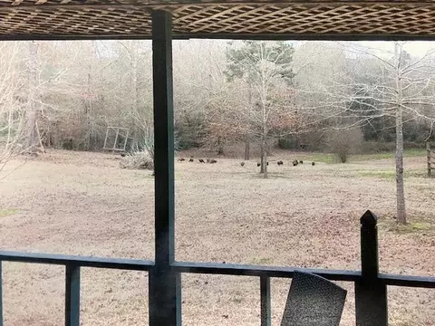 210 E Smith Ferry Rd, Silver Creek, MS 39663 photo 31