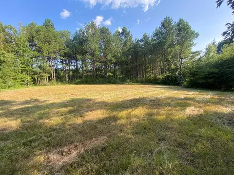 210 E Smith Ferry Rd, Silver Creek, MS 39663 photo 18