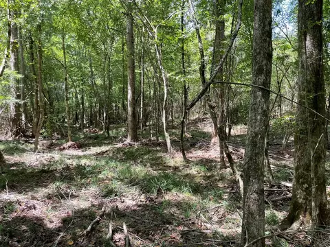 210 E Smith Ferry Rd, Silver Creek, MS 39663 photo 22