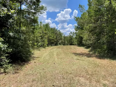 210 E Smith Ferry Rd, Silver Creek, MS 39663 photo 20