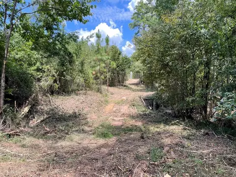 210 E Smith Ferry Rd, Silver Creek, MS 39663 photo 23