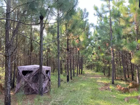 210 E Smith Ferry Rd, Silver Creek, MS 39663 photo 13