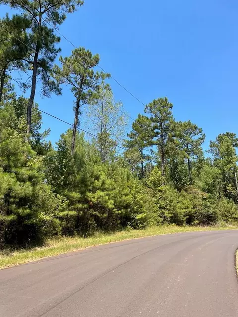 lot Apt 8 Singleton Dr, Summit, MS 39666 photo 2