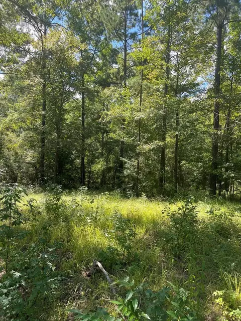 lot Apt 8 Singleton Dr, Summit, MS 39666 photo 3