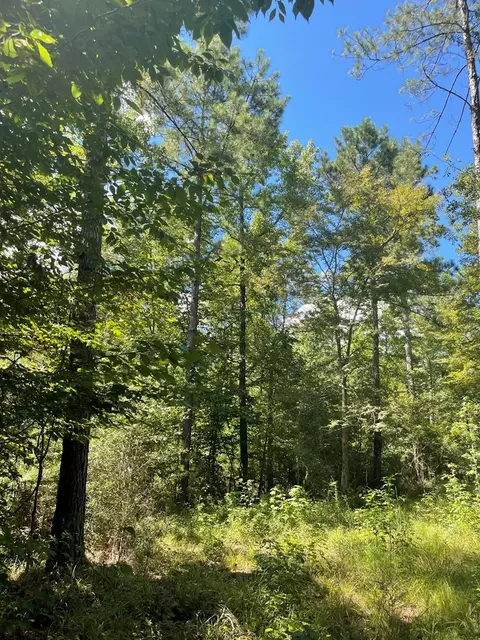 lot Apt 8 Singleton Dr, Summit, MS 39666 photo 5