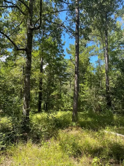 lot Apt 8 Singleton Dr, Summit, MS 39666 photo 7
