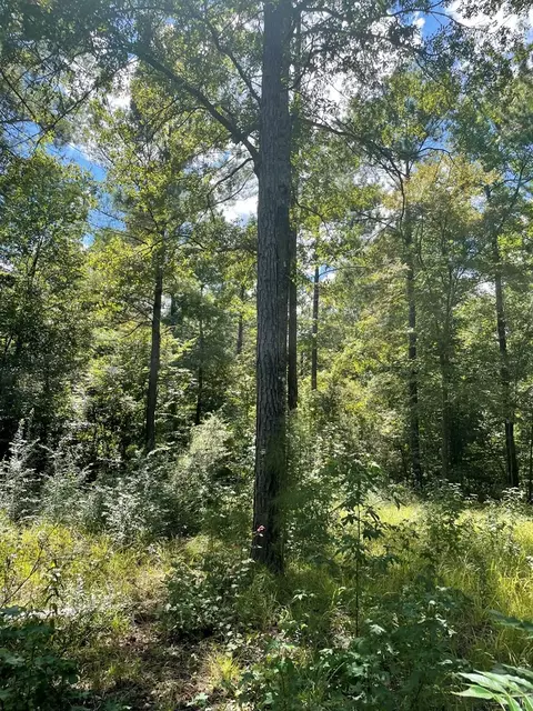 lot Apt 8 Singleton Dr, Summit, MS 39666 photo 4