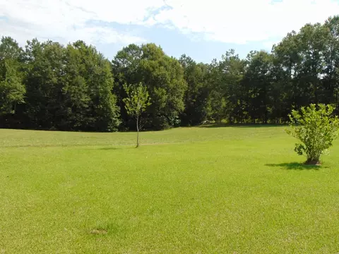 3401 Mound Rd, Wesson, MS 39191 photo 39