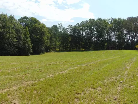 3401 Mound Rd, Wesson, MS 39191 photo 42