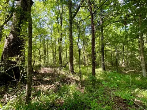 000001 Cole Dr SE, Ruth, MS 39662