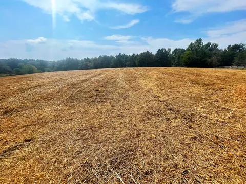 000 Pleasant Ridge Rd NW, Wesson, MS 39191 photo 10