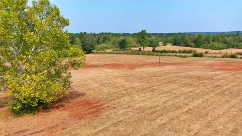 000 Pleasant Ridge Rd NW, Wesson, MS 39191 photo 5