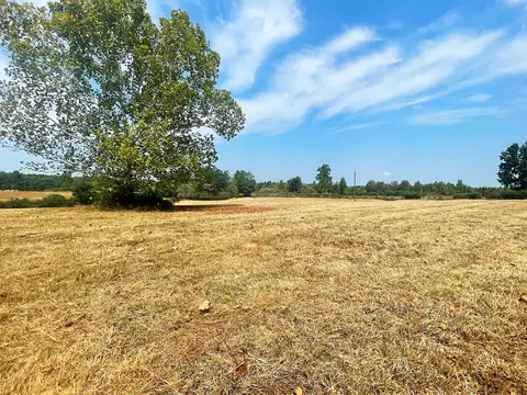 000 Pleasant Ridge Rd NW, Wesson, MS 39191 photo 13