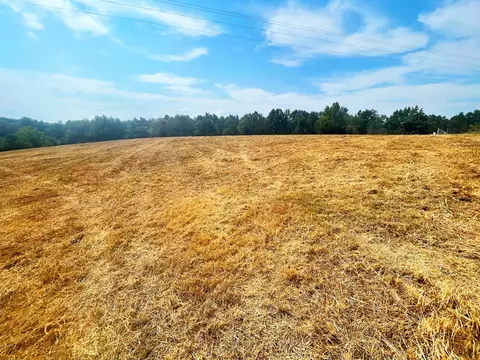 000 Pleasant Ridge Rd NW, Wesson, MS 39191 photo 8