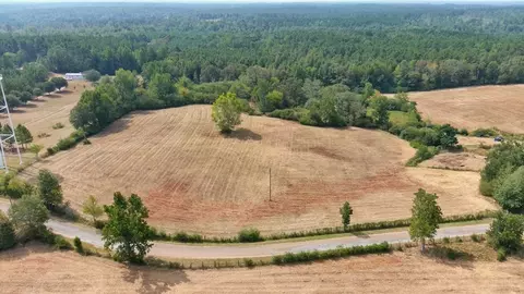 000 Pleasant Ridge Rd NW, Wesson, MS 39191 photo 3