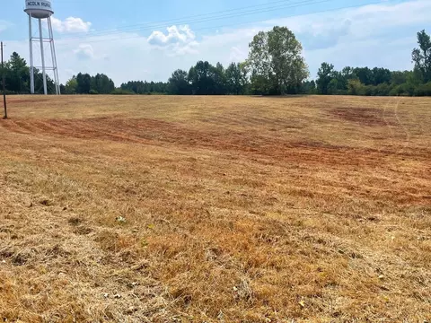 000 Pleasant Ridge Rd NW, Wesson, MS 39191 photo 11