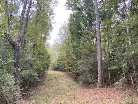 1140 Carruth Dr, Summit, MS 39666 photo 28