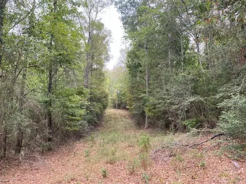 1140 Carruth Dr, Summit, MS 39666 photo 36