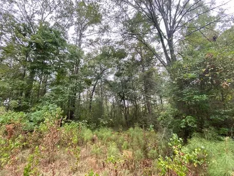 1140 Carruth Dr, Summit, MS 39666 photo 32