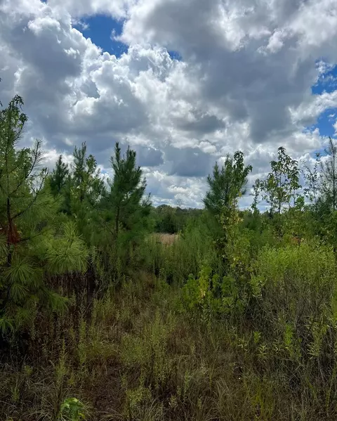 0 Durr Case Rd, Brookhaven, MS 39601 photo 12