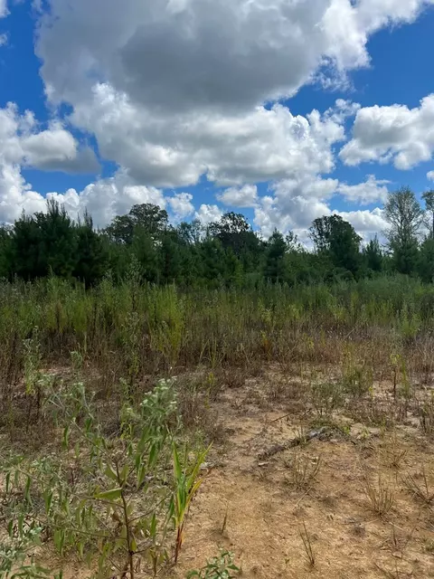 0 Durr Case Rd, Brookhaven, MS 39601 photo 17