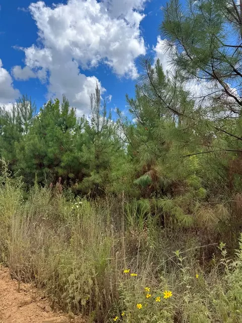 0 Durr Case Rd, Brookhaven, MS 39601 photo 5