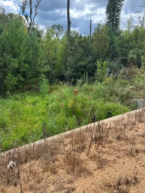 0 Durr Case Rd, Brookhaven, MS 39601 photo 3