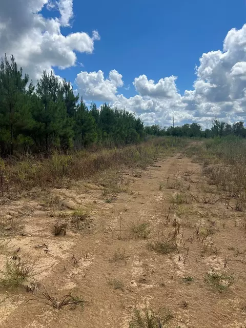 0 Durr Case Rd, Brookhaven, MS 39601 photo 16