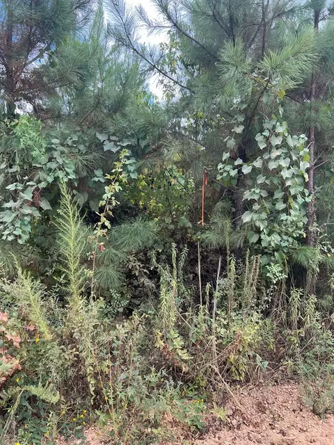 0 Durr Case Rd, Brookhaven, MS 39601 photo 2