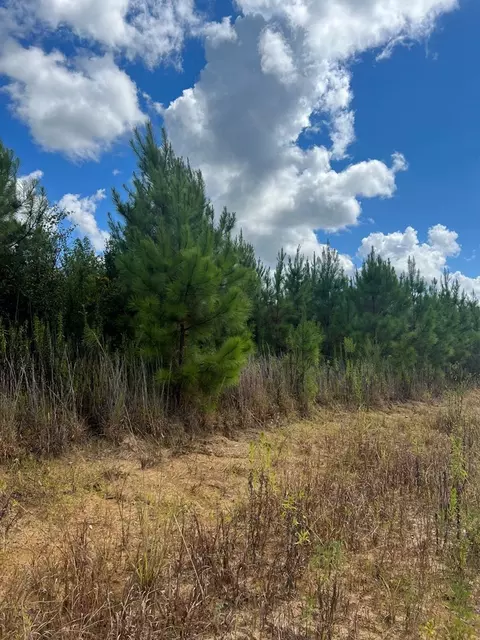 0 Durr Case Rd, Brookhaven, MS 39601 photo 7