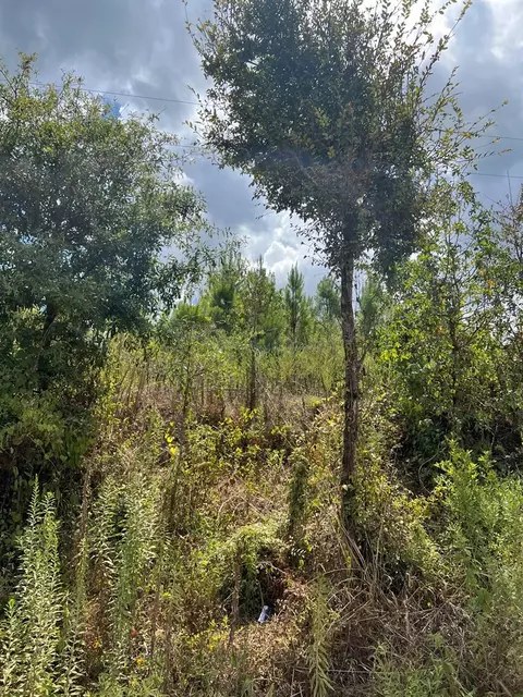 0 Durr Case Rd, Brookhaven, MS 39601 photo 11
