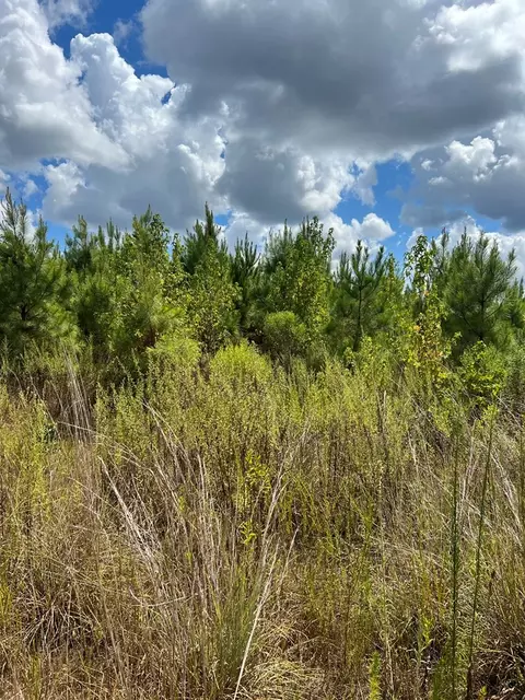 0 Durr Case Rd, Brookhaven, MS 39601 photo 8