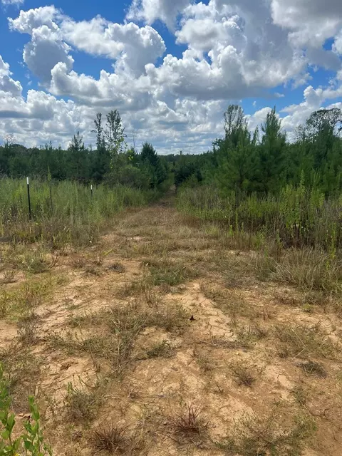 0 Durr Case Rd, Brookhaven, MS 39601 photo 15