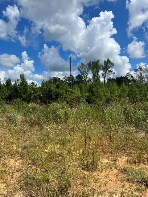 0 Durr Case Rd, Brookhaven, MS 39601 photo 9