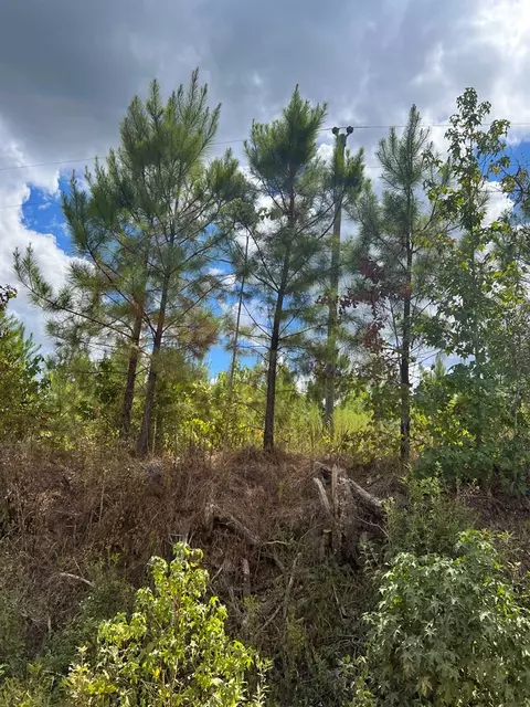 0 Durr Case Rd, Brookhaven, MS 39601 photo 10