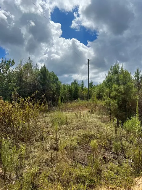 0 Durr Case Rd, Brookhaven, MS 39601 photo 14