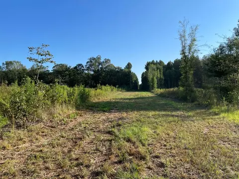 tbd Grange Hall Rd, Osyka, MS 39657 photo 5