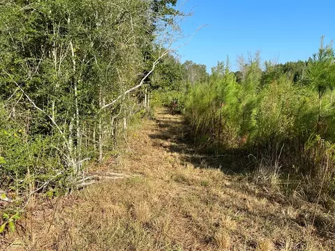 tbd Grange Hall Rd, Osyka, MS 39657 photo 6